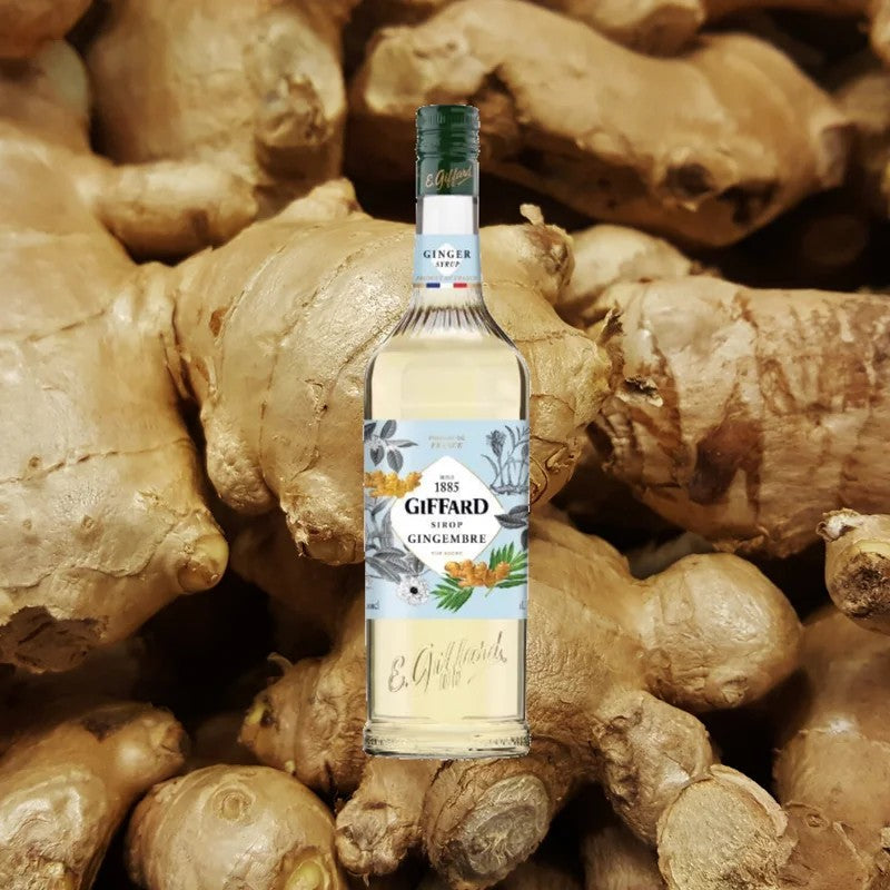 GiffardSyrupGinger