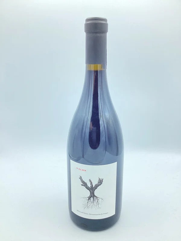 PSIRiberadelDuero